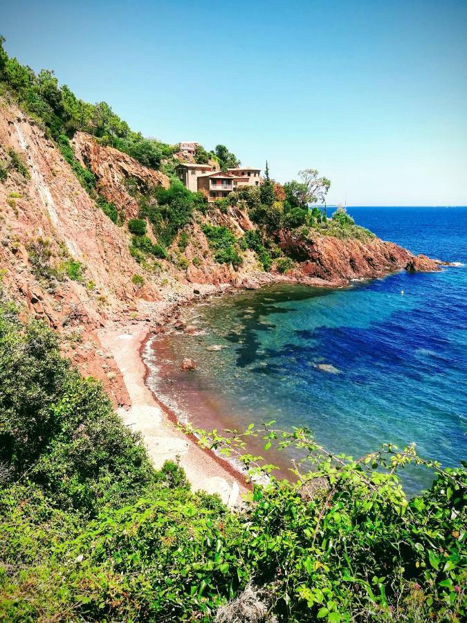 Rez De Cote D'azur Piscine Privee Villa