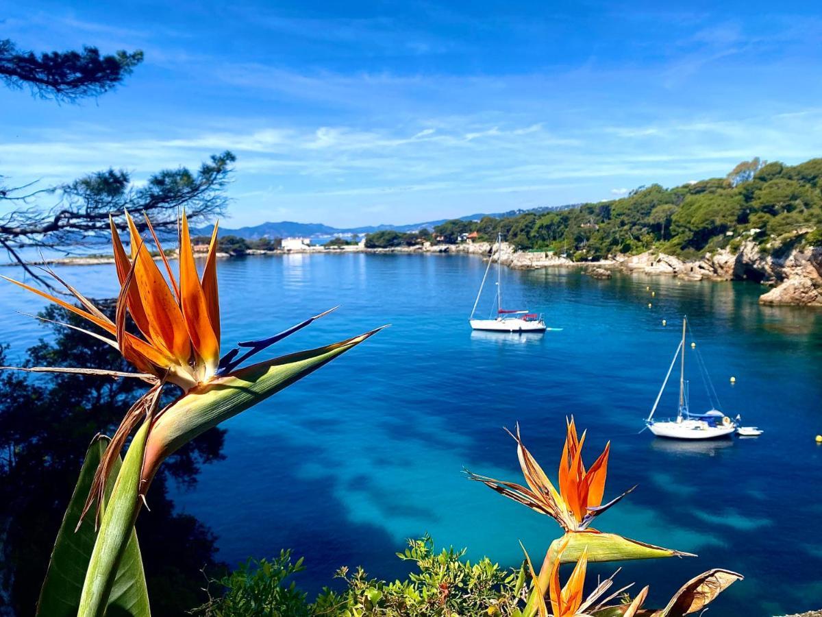 Cote D'azur Piscine Privee La Gaude