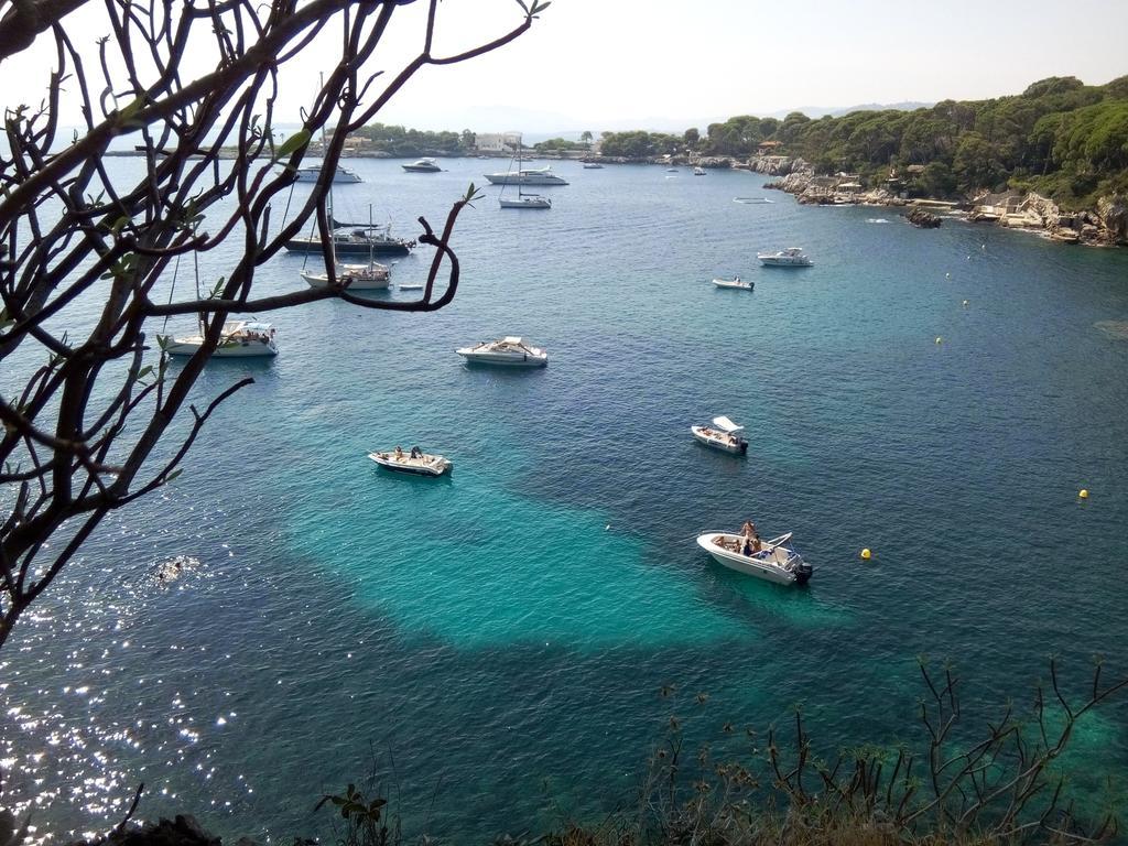 Villa Cote D'azur Piscine Privee *