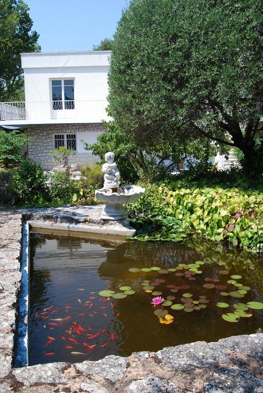 Cote D'azur Piscine Privee * La Gaude