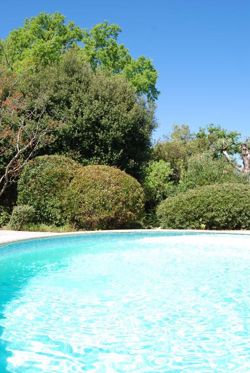 Cote D'azur Piscine Privee Villa *