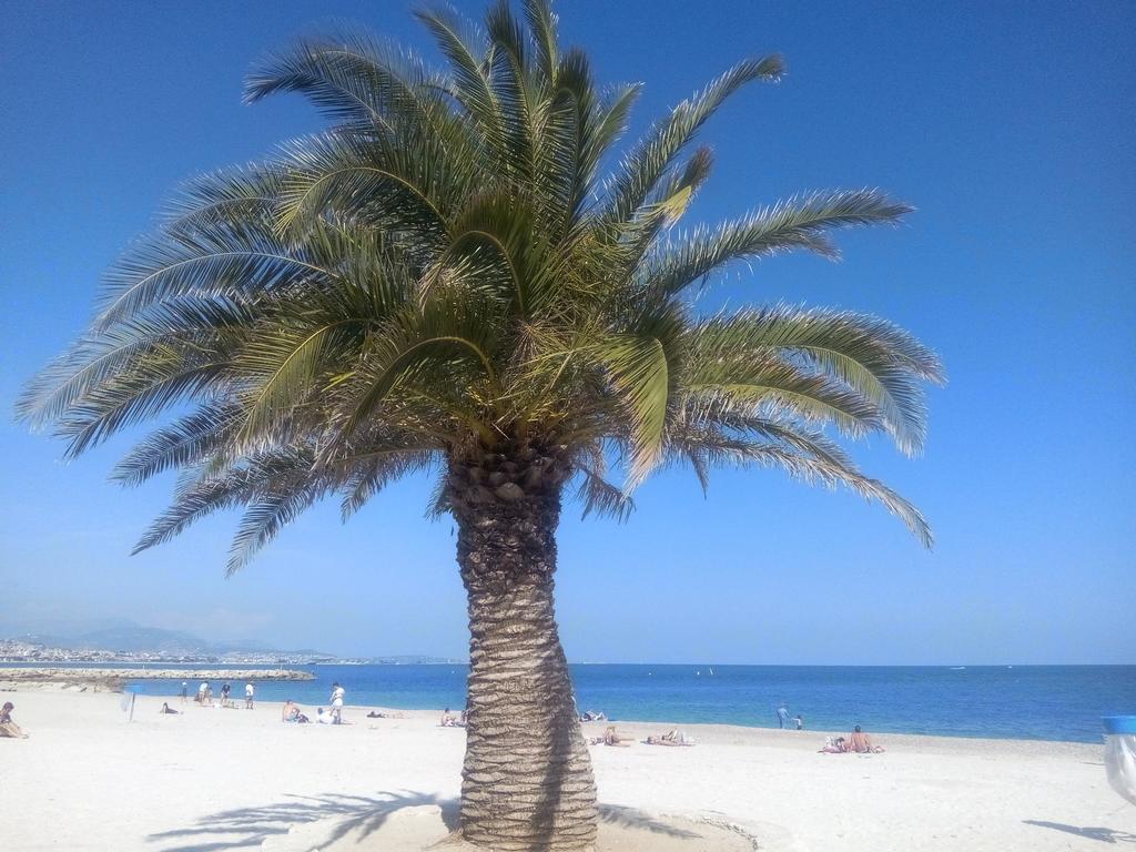 Cote D'azur Piscine Privee La Gaude