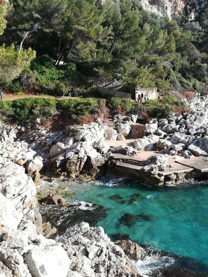 Villa Cote D'azur Piscine Privee